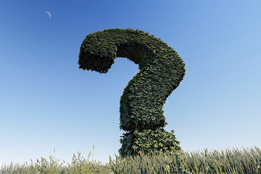 What is the Problem?