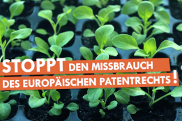 Stoppt den Missbrauch des europäischen Patentrechts!