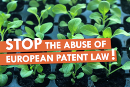 Stop the abuse of european patent law!