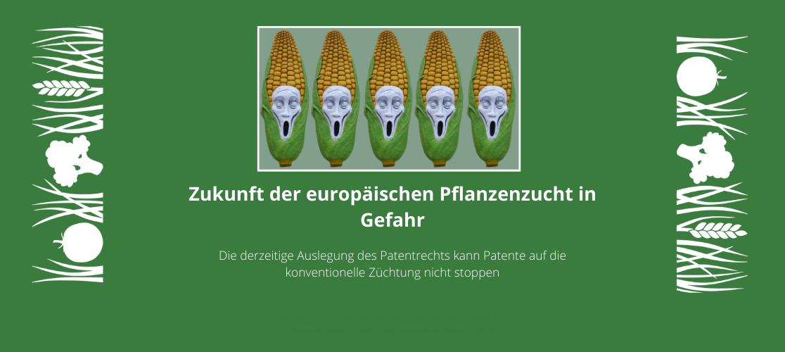 Slide Bericht 2023