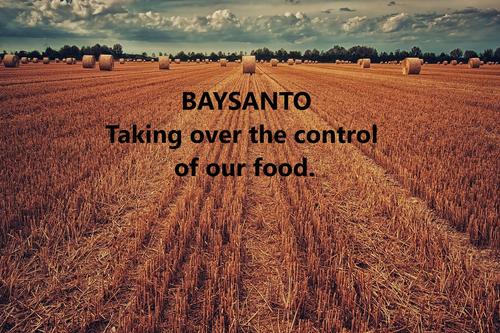 Baysanto