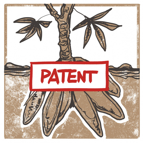 Patent auf Cassava