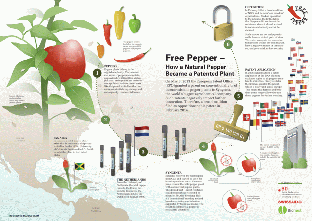 Pepper Chart