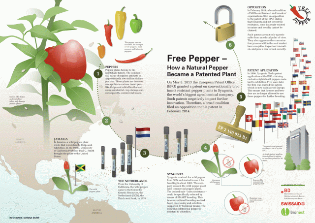free Pepper Chart