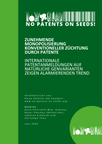 Bericht Titelbild