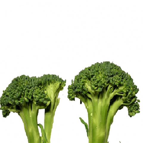 Broccoli