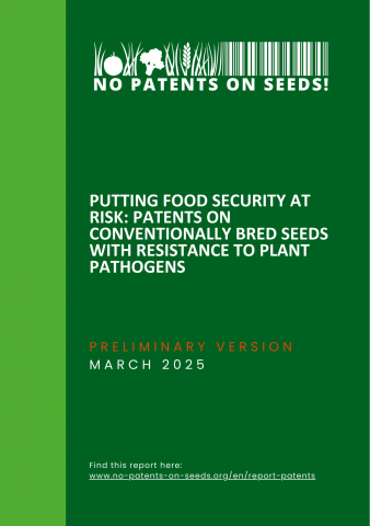Cover Report 2025