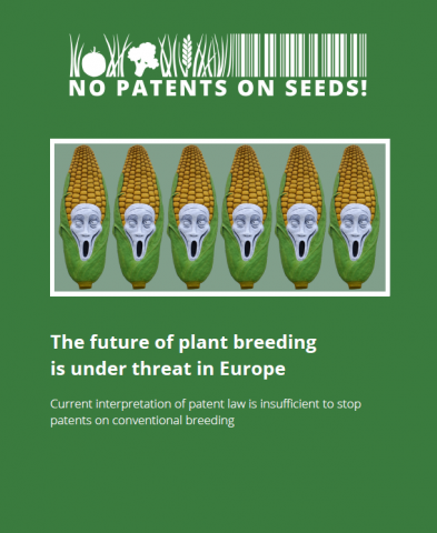 Cover report