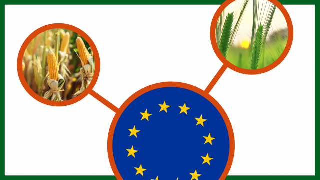 EU Patents