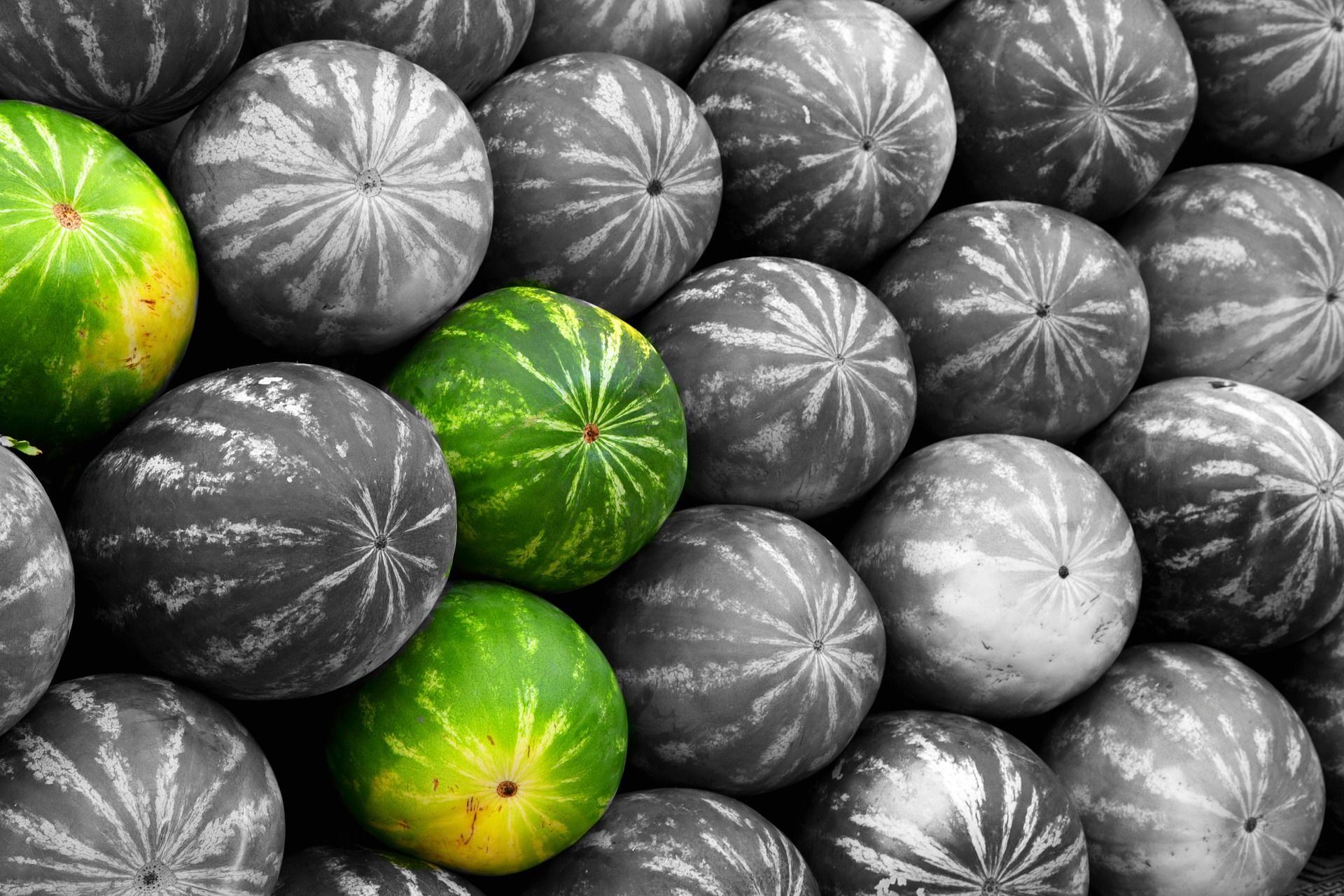 Melon (Pixabay)