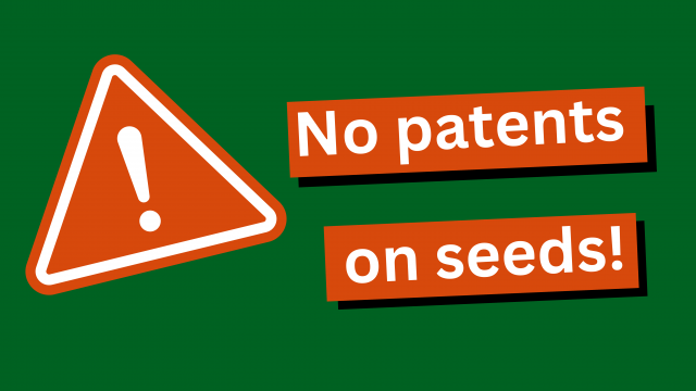 No patents on seeds