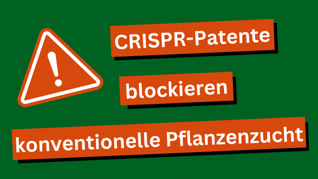 CRISPR Patente