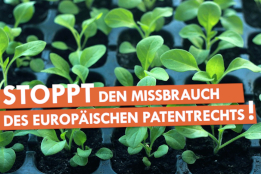 Stoppt den Missbrauch des Patentrechts