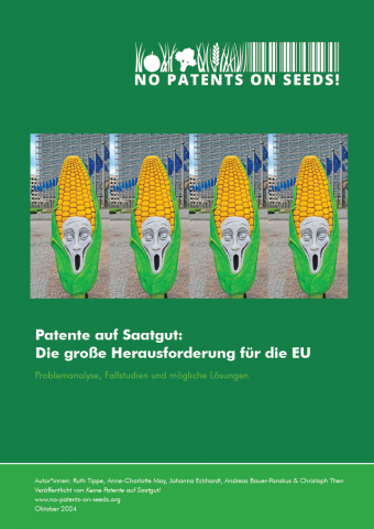 Bericht 2024 Titelbild