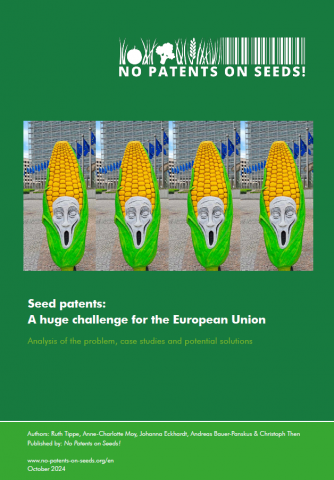 Title picture report 2024