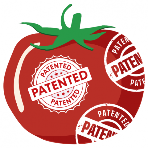 Patent Tomate
