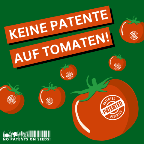 Keine Patente auf Tomaten