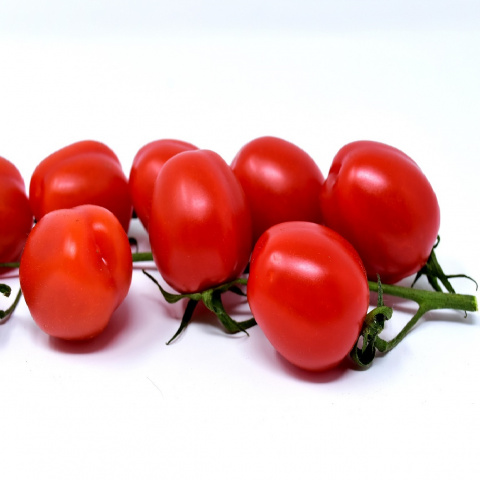 Tomaten