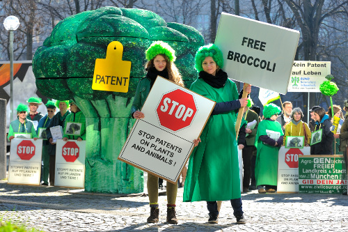 Free broccoli / (c) Thomas Einberger/argum