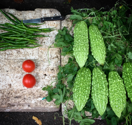 indian melon